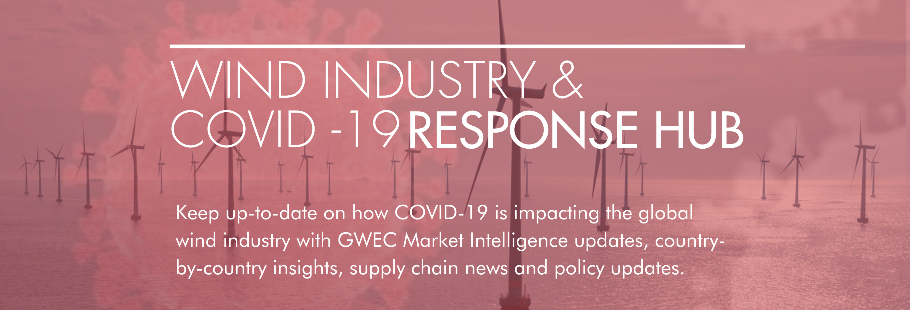 Copy of Copy of COVID19 SoMe (2)