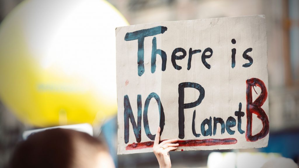 No Planet B sign at climate protest