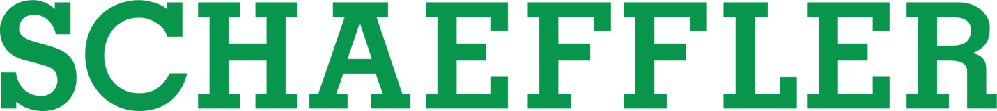 Schaeffler